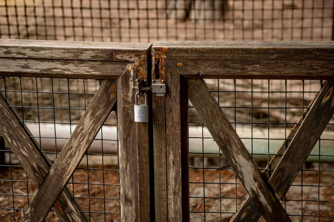 Cedar privacy fence
