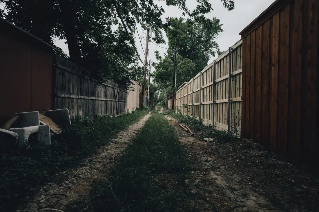 Finished backyard