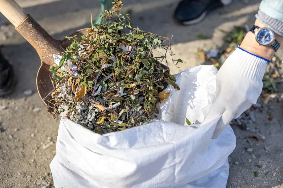 Yard Waste