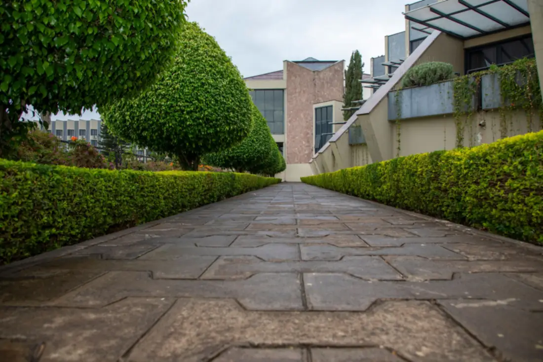 Path between clipped hedges