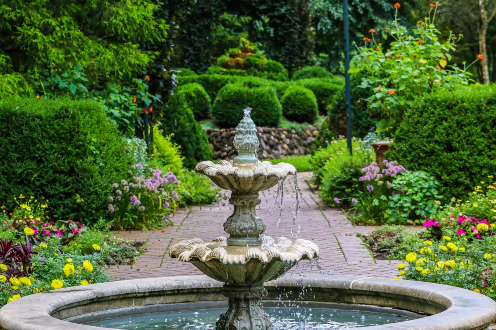 Garden with a stone fountain