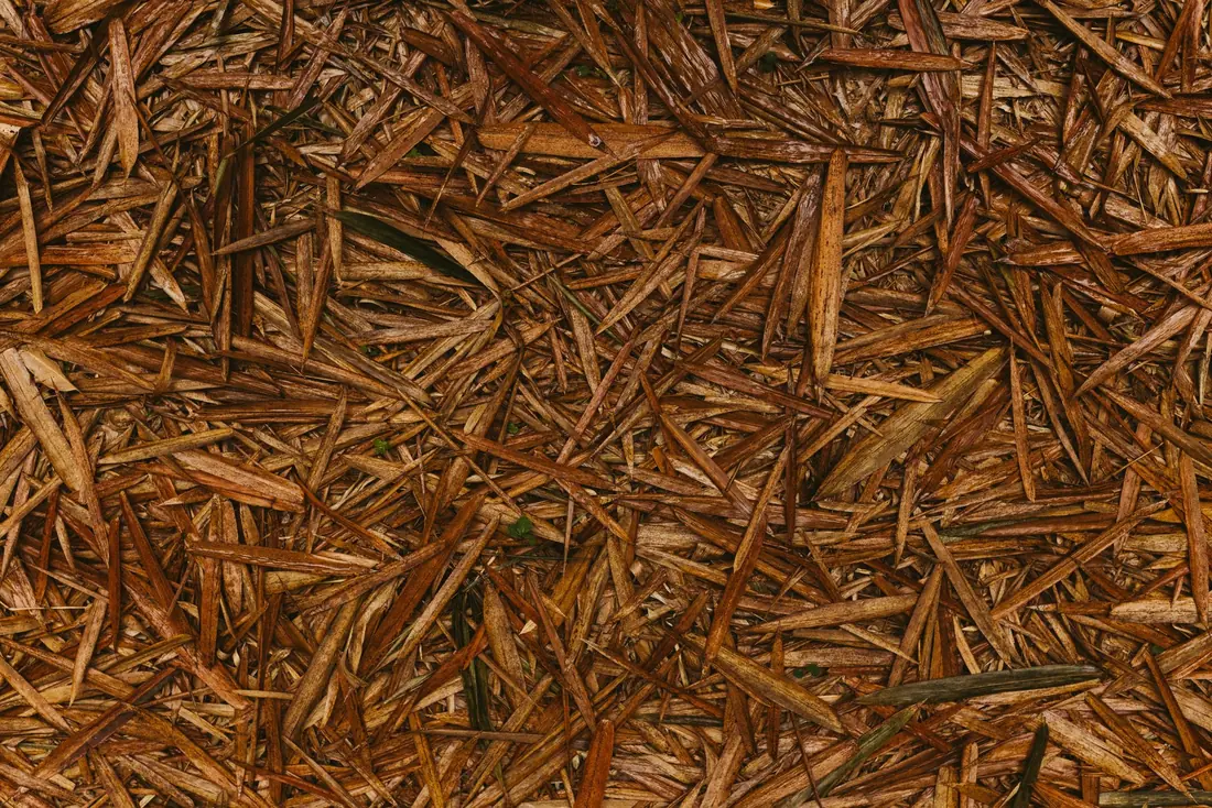 Fresh mulch bed
