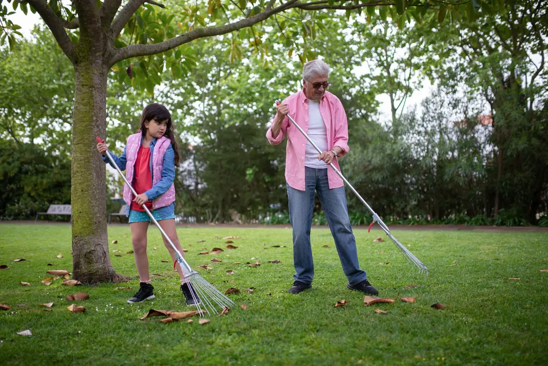 Leaf cleanup