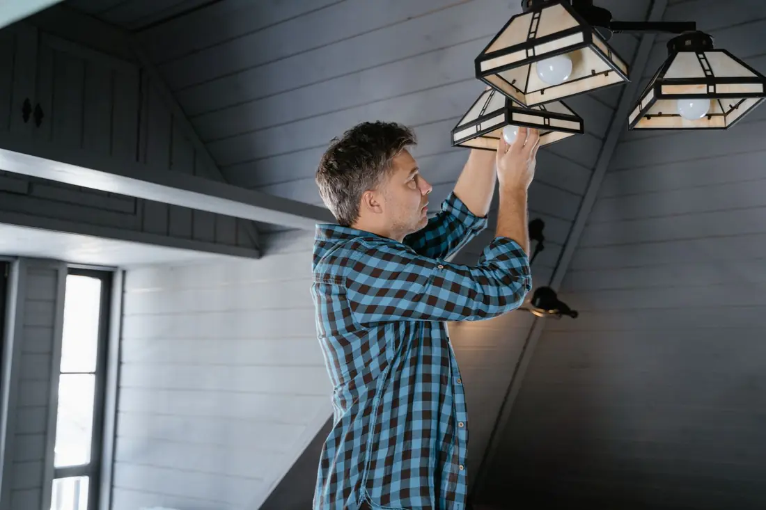 Attic inspection