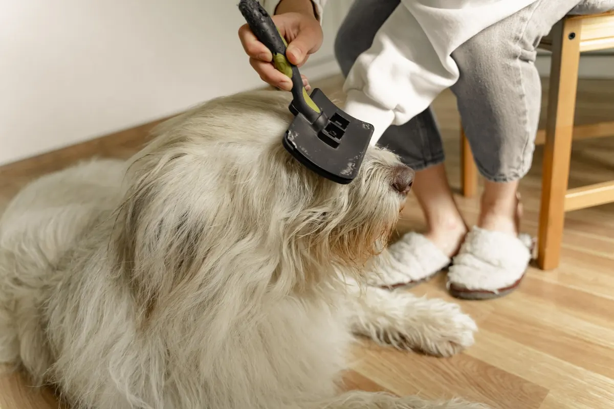 De-shedding