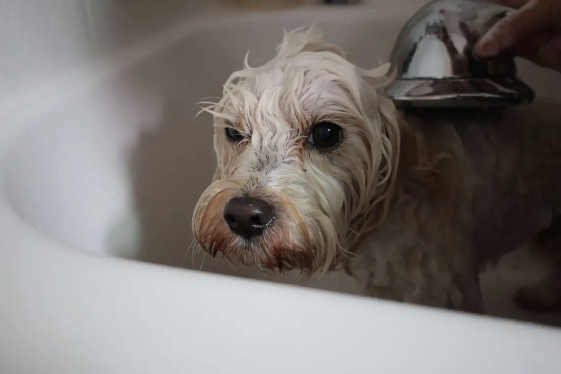 Bath time