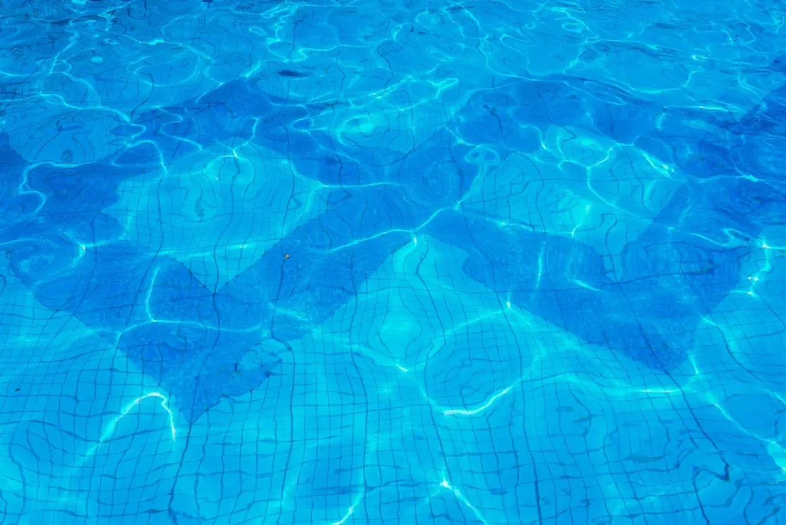 Sparkling backyard pool